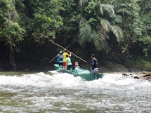 Battling against rapids on Borneo's longboat. Belalong. (photo: Lan Qie, 2014)